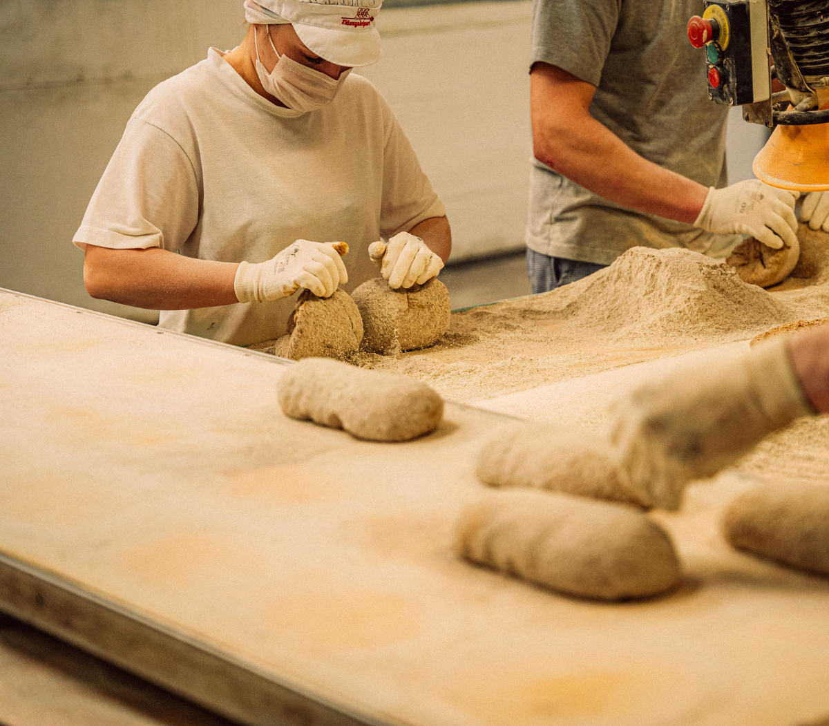 Ruis – Yksi Porokylän Leipomon pääraaka-aineista